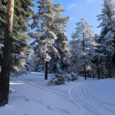 Povratak Prirodi *