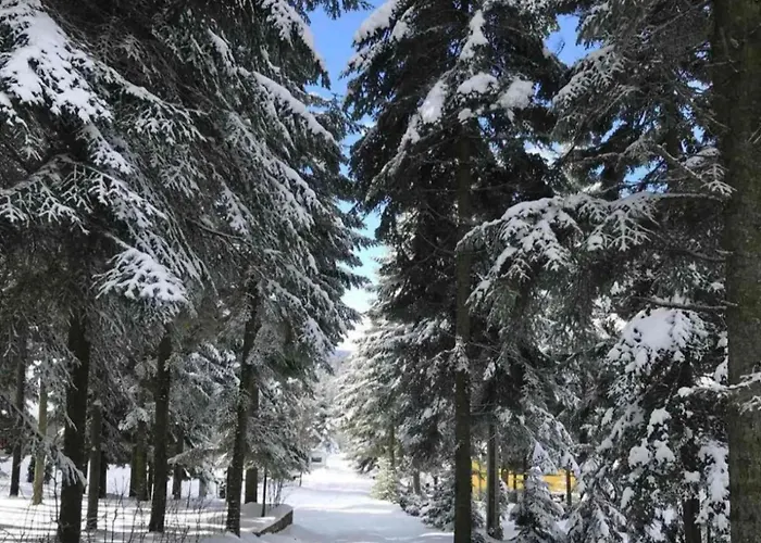 Сasa de vacaciones Povratak Prirodi *