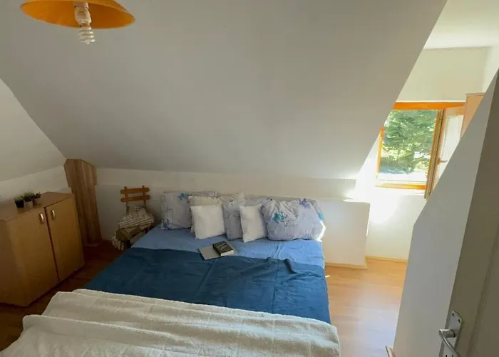 Povratak Prirodi Divčibare